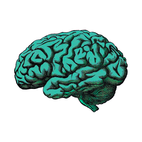 The Observation Game Logo